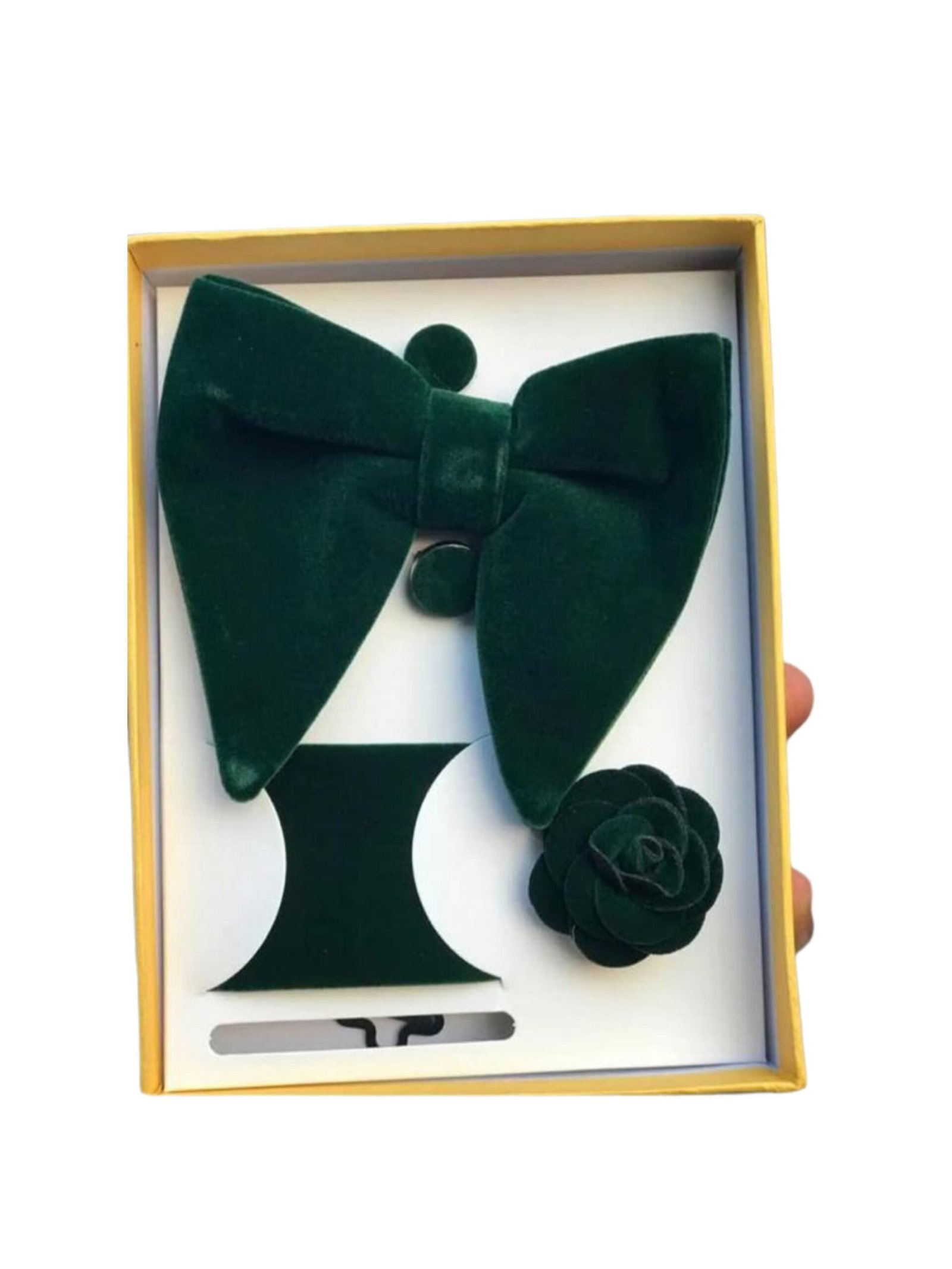 Neck Tie with a pocket Square
